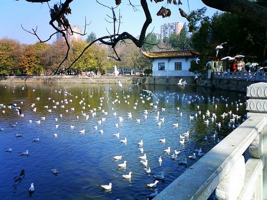 【云南精品】昆明、大理、洱海、双廊、丽江、玉龙雪山、泸沽湖7晚8天四星温泉品质游